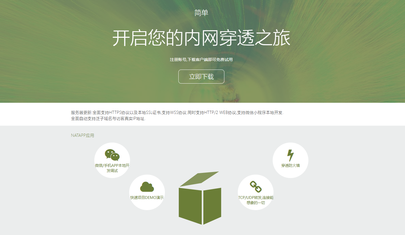 如何实现内网穿透？